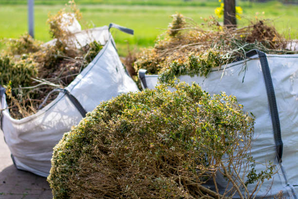 Professional Junk Removal Services in Cleburne, TX